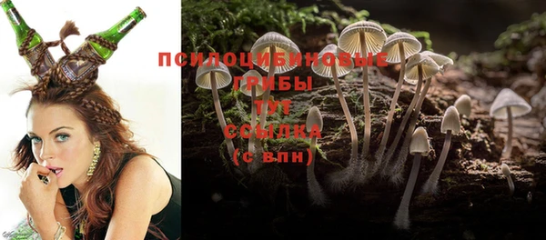 спайс Баксан