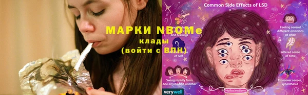 спайс Баксан