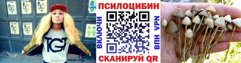 Галлюциногенные грибы Magic Shrooms  закладка  Советский 